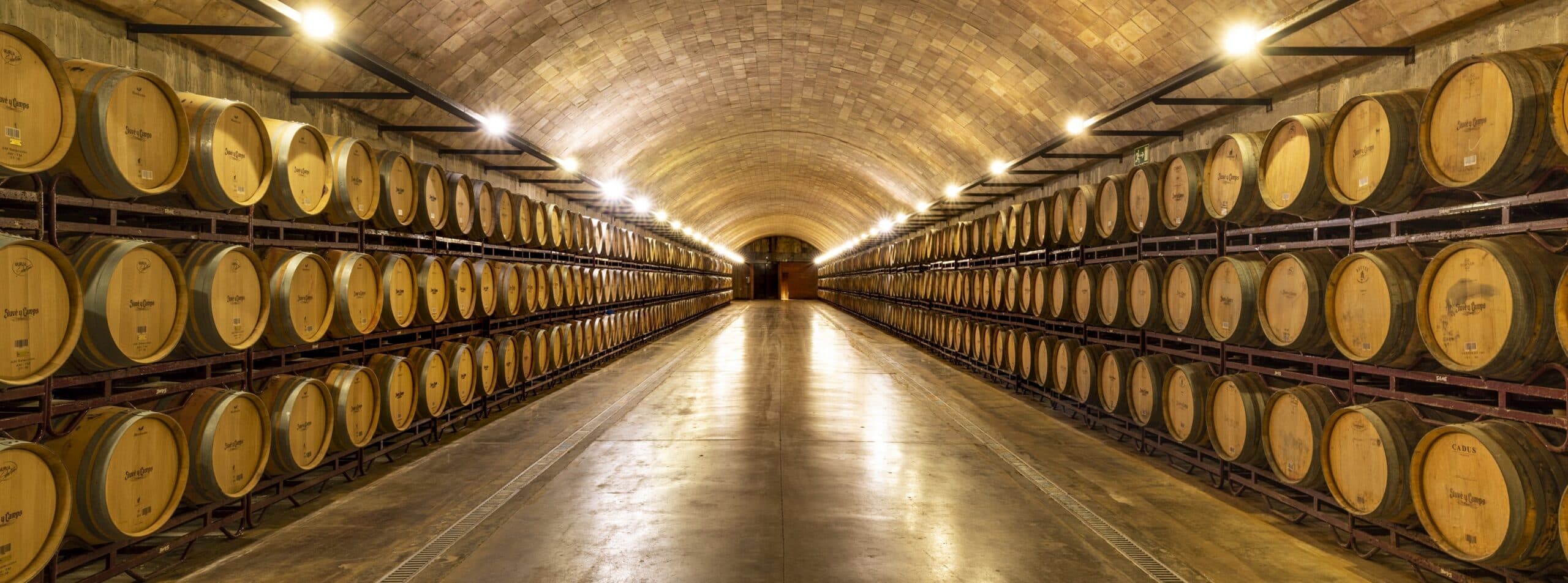 Penedes Cava & Wine Trail